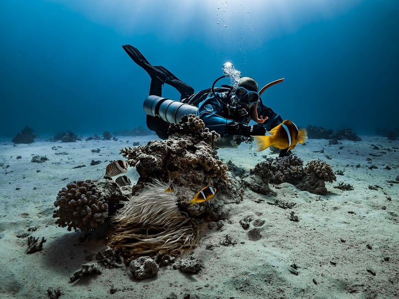 Scuba Diver